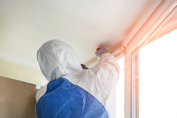 Why You Should Choose Our Mold Remediation Services in Manawa, WI