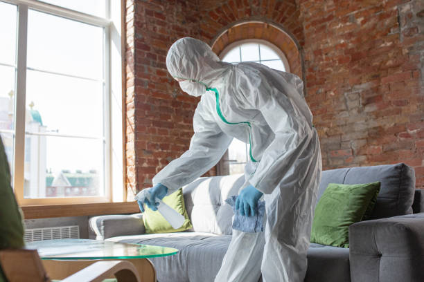 Best Black Mold Removal in Manawa, WI