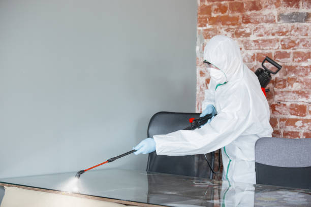 Best Emergency Mold Remediation in Manawa, WI